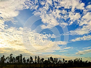 White clouds sky evening golden light sun shining through