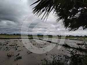 White cloudy sky evening time landscape