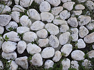 White cobbles and grass texture background
