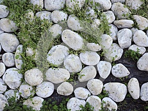 white cobbles and grass texture background