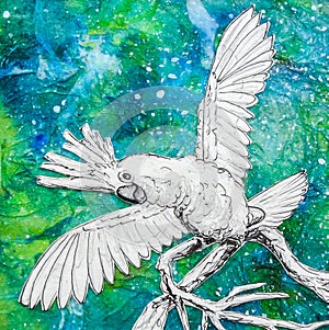 White Cockatoo parrot drawing, green blue background. Wings outstretched.