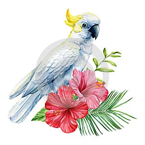 White cockatoo parrot. Tropical watercolor bird, flowers and leaves isolated on white background