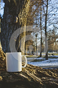 A white coffee mug on the bark of the trees