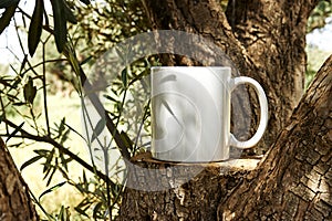 White coffee mug mockup on tree trunk wood through olives tree. Empty mug mock up for design promotion