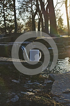 A white coffee mug on the park pond edge