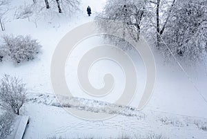 White, cold winter landscape with shrubs, trees with a view from