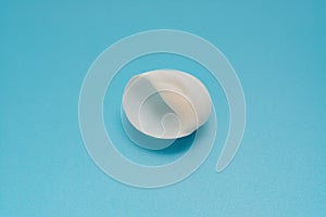 White color conch shell on blue background