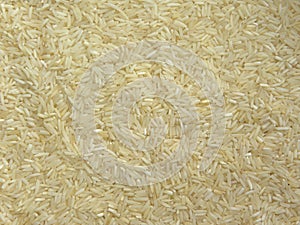 White color raw Basmati rice