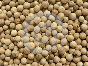 White color raw whole dried pepper