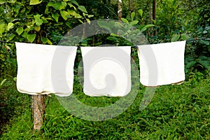 White color rubber sheets hung for drying photo