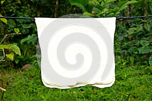 White color rubber sheets hung for drying photo