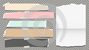 White colorful ripped, torn note, notebook paper strips, stuck with sticky tape on dark grey background. Vector