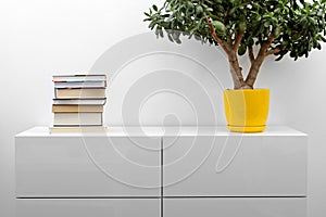 White commode with stack of books and flower pot in bright minimalism interior