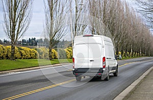 White compact commercial cargo mini van running on the road with trees alley