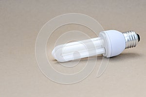 White Compact Fluorescent Lamp