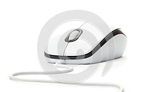 White computer mouse isolated