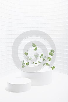 White contemporary fresh stage as curved alcove with two cylinder podiums mockup, mosaic wall, bright green tiny eucalyptus twigs