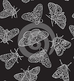 White contour butterflies and moths isolated on black background. Vector surface design