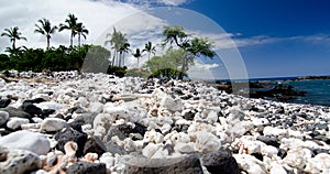 White coral slope beach near Mauna Kea Beach