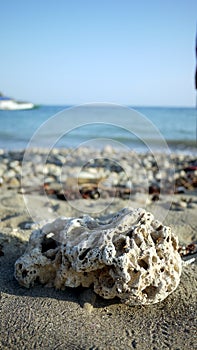 White Coral Stone and The Beach