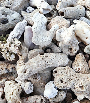 White coral stones arranged on the beach