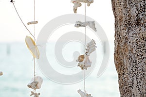 White corals and seashells tied with white string decorate the beach. Thailand tourism concept