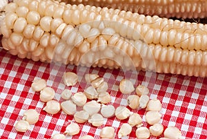 White corn