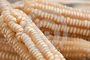 White corn