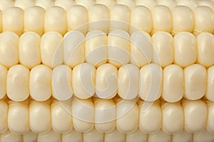 White corn vegatable closeup background