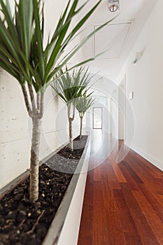White corridor in house