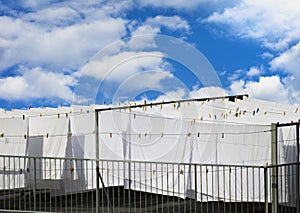 White cotton sheets drying