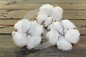 White cotton on a wood