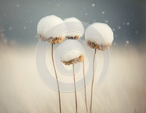 White cottongrass in the snow, Generative AI