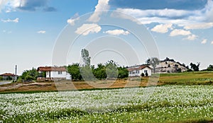 White country houses with opium poppies  fields in Phrygia Valley Natural Park Frig Vadisi Tabiat Parki, Ihsaniye, photo