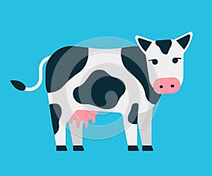 White cow with black spots. Cute farm pet. Young cow with dairy udder, milk. Vector illustration isolated on blue