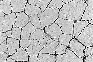 White cracked earth texture background