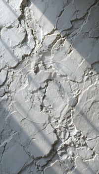 White Cracked Marble Texture with Sunlight Shadows