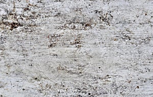 White cracked wood background