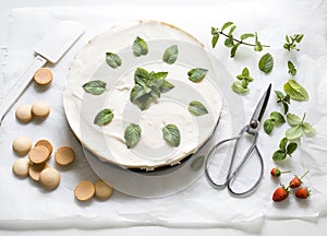 white cream cheese cake with mint leaves