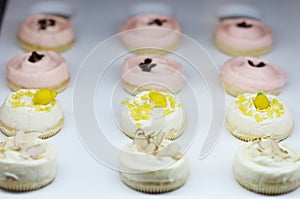 White cream cupcakes