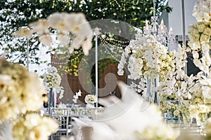 The white cream roses, orchids decoration on the reception dinner table, flowers, Floral - closed up