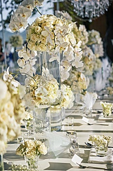 The white cream roses, orchids decoration on the reception dinner table, flowers, Floral - closed up