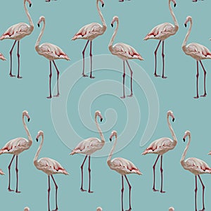 White creamy flamingo, mint background. Floral seamless pattern. Tropical illustration. Exotic birds.