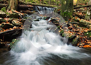 White creek - waterfall