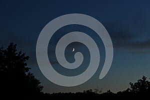 White Crescent a piece of the moon against a blue sky with small clouds and dark silhouettes of trees on the edges as a frame of t