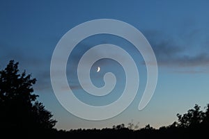 White Crescent a piece of the moon against a blue sky with small clouds and dark silhouettes of trees on the edges as a frame of t