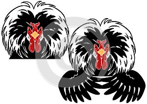 White crested black Polish rooster chicken head and wings