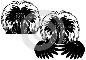 White crested black Polish rooster chicken head and wings line art