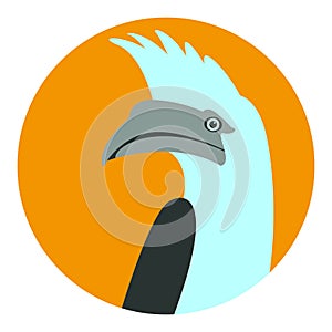 White - crested hornbill bird vector illustration flat style