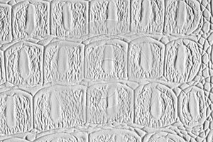 White crocodile leather texture